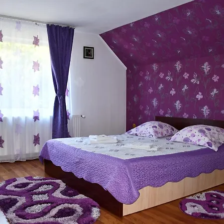Casa de hóspedes Simona Moeciu De Sus