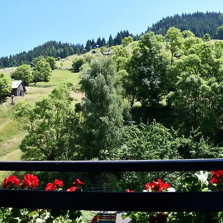 Guest house Simona 3*