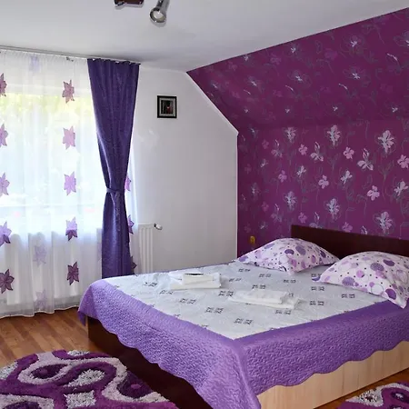 Simona Guest house 3*